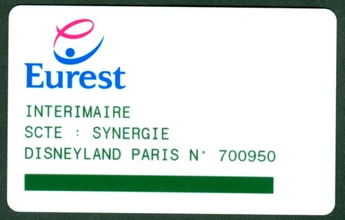 Passeport disneyland paris - ,