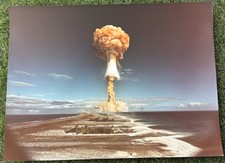 Photo champignon explosion - photo,