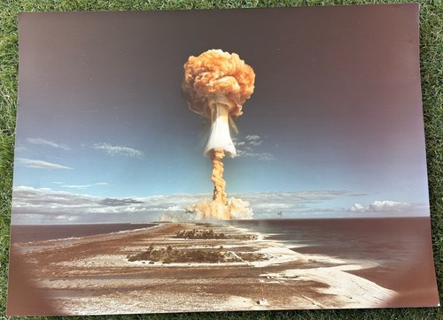 Photo champignon explosion - photo,