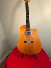 Seagull flame maple - s,