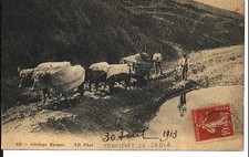 (S-61829) FRANCE - 64 - NON SITUEE CPA BOEUFS TIRANT UNE CHARETTE DE SABLE     N