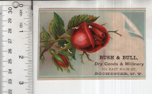Bush bull dry goods - &,