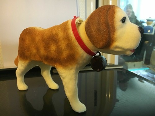Chien qui bouge - qui, saint