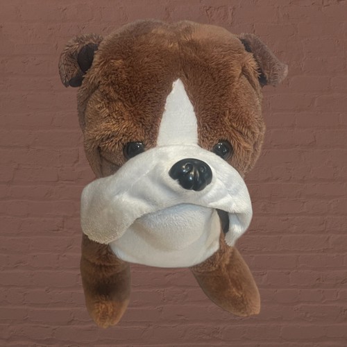 Old english bulldog dan - , dee