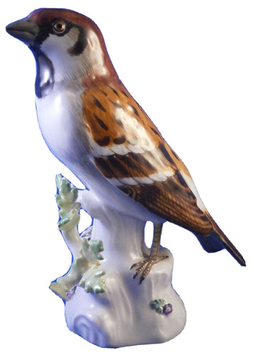Joli oiseau moineau - joli,