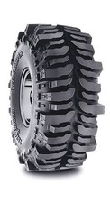 Interco Super Swamper