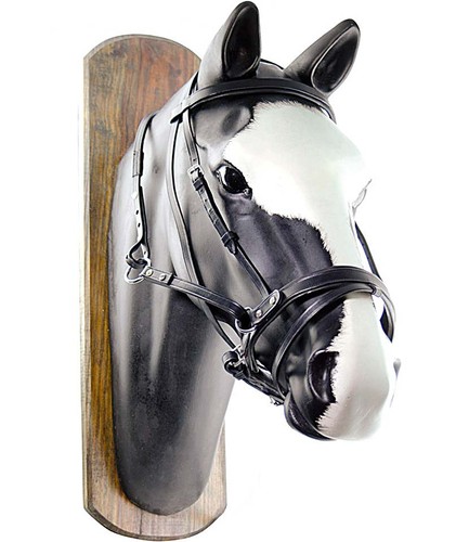 Bridon horse ball biothane - horse,
