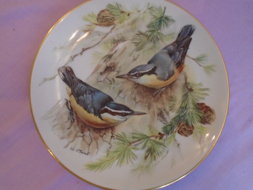 Assiette porcelaine - assiette,