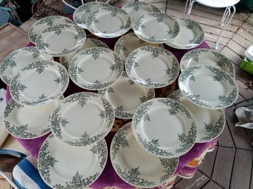 Assiettes plates terre de - 22,