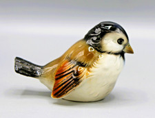 BEAU MOINEAU OISEAU EN
