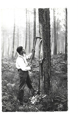 40  LES LANDES  UN GEMMEUR