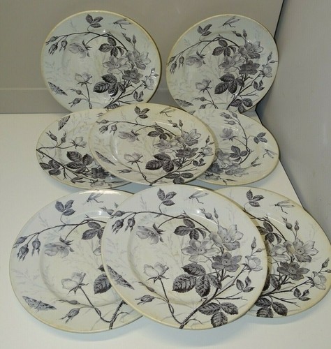 Assiettes dessert creil - assiettes,