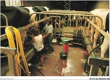 AFIP11-0963-28 - MOTTEREAU - traite des vaches à la ferme HARDY