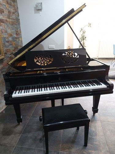 Piano queue steinway - piano,