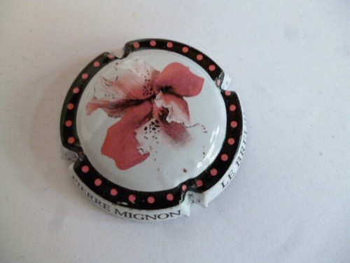 Capsule champagne mignon - champagne,