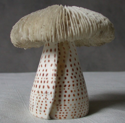 Champignon artisanat très - champignon,