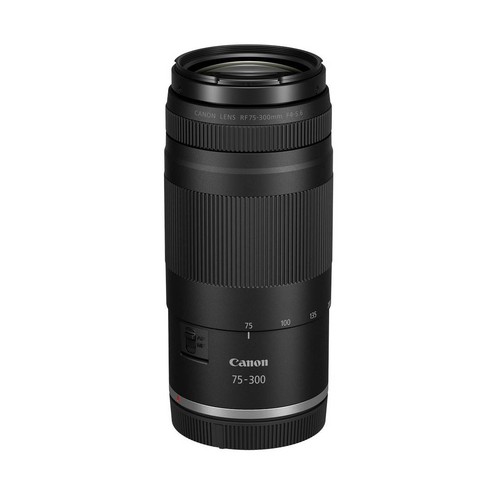 Canon 300mm 4 5 6 - canon, f/4-5.6