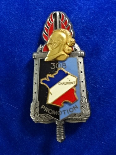 Insigne badge drago esog - -,