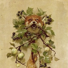Trophée Taxidermie Gibier Nature morte Georges Sturm - Chromolithographie C1910