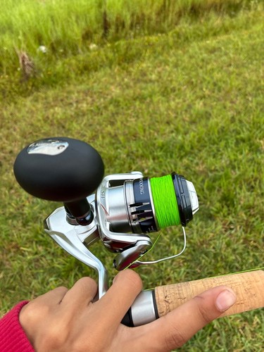 Shimano saragosa 5000 grey - shimano, 5000,