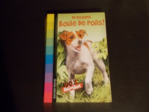 Dressons boule poils lucy - boule, de