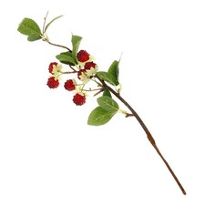  Fruit Factice Framboise