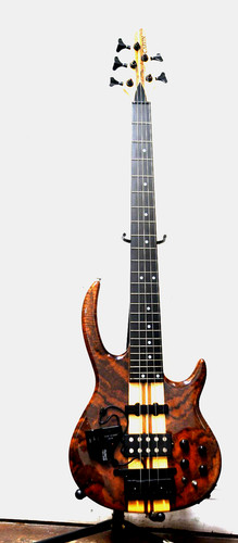 Carvin bunny brunel - bunny,