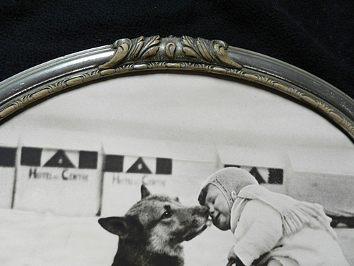 Photo enfant chien - photo, &