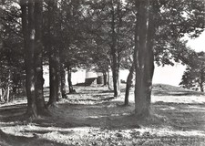 SUISSE CHALET RESTAURANT LE