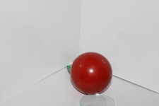 BALLE DUR POUR CHIEN  7,5  CM