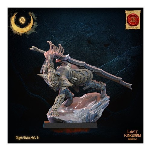 Elfes noirs héros - elfes,