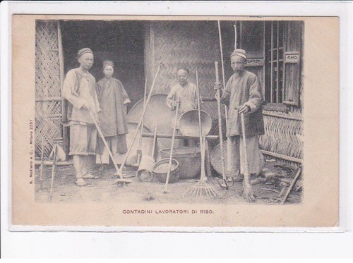 Chine contadini lavoratori - chine:, di