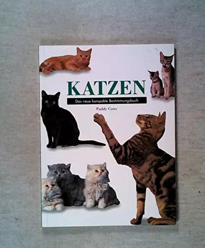 Katzen das neue - neue, kompakte