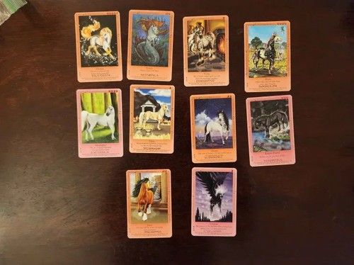 Lot assorted bella sara - of,