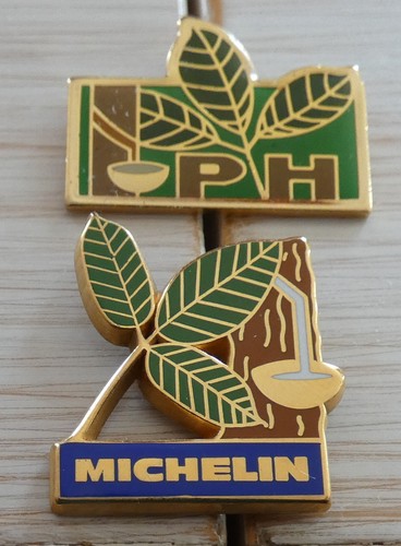 Rare lot pin - hevea, arbre