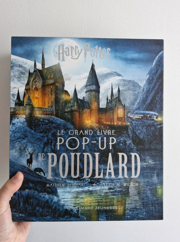 Grand livre pop harry - grand, pop-up
