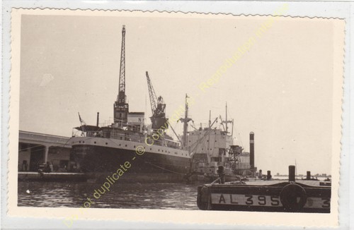 Format cpa photo rppc algerie - format,