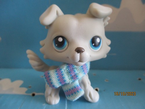 Petshop chien colley 363 - ,