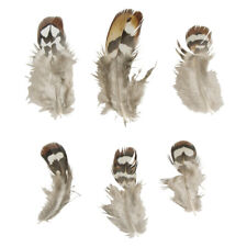 Plume de pintade, 7,5-13cm, 6pces