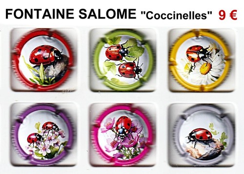 Champagne fontaine salome - champagne,