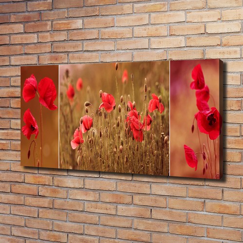 Tulup image sur toile - toile, tableau