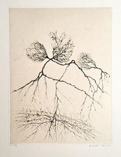 Cécile REIMS - Vegetal. Gravure originale, signée par l'artiste.