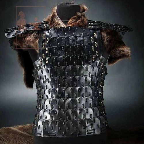 Costume cosplay armure - de,