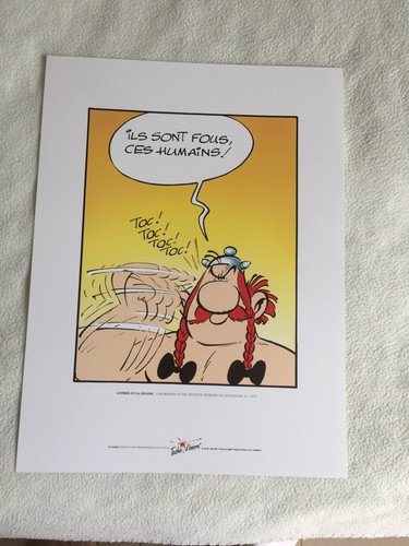 Sérigraphie astérix la - sérigraphie,