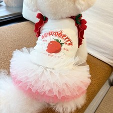Haut De Costume Pour Chien