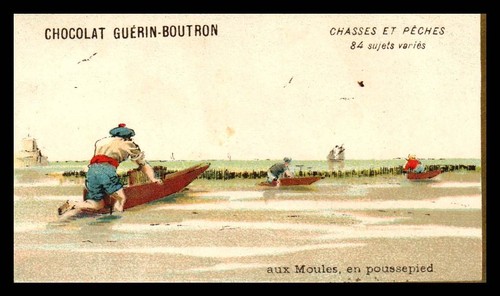 Chromos guerin boutron - chromos,