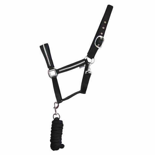 Licol et longe - -, (bz4309)