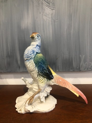 Faisan oiseau porcelaine - en,