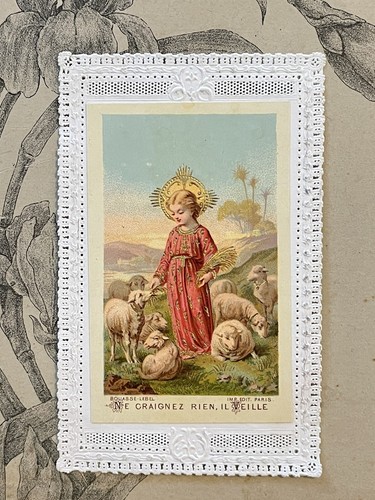 Image pieuse canivet bouasse - canivet,
