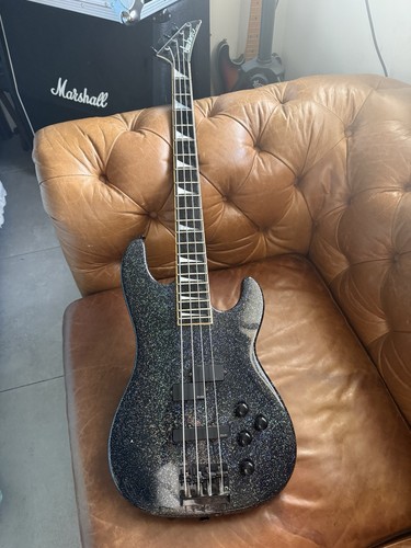 1990 jackson usa concert - jackson, bass
